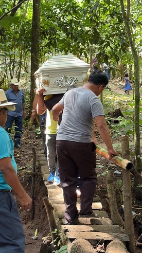 15K views · 86 reactions | Llevando en hombros a un gran hombre  Adiós abuelo chico  #descanseenpaz #papa #trextrañaremos | Luna Multimedia | Facebook