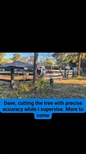 Work it hard at dropping this tree. Put pinpoint accuracy | Terry Thomas