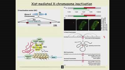 MCB 252: Cells, Tissues, and Development