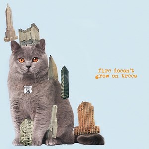 Albums Of The Week: The Brian Jonestown Massacre | Fire Doesn’t Grow On Trees - Tinnitist