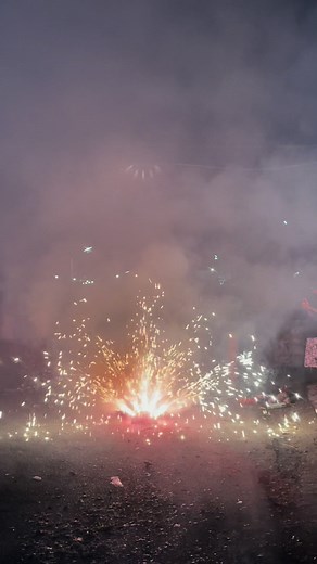 Mesmerizing Peacock Fountain Firework Display