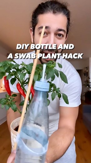 Armen Adamjan on Instagram: "This hack kept my plant alive being home alone! 😅🤩🌱 . . . . #plants #gardening #planttips #gardeningtips #lifehack #lifehacks #diy #howto #kitchenhacks #recycle #upcycle #hacks #creativeexplained #plastic #wow"