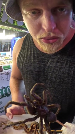 Brochette de poulet : Street food en Thaïlande