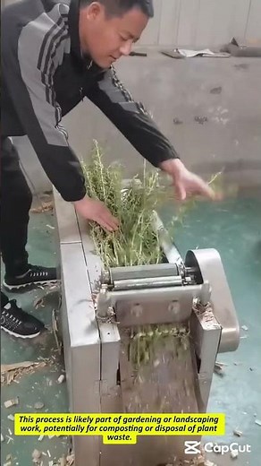 Using a Plant Shredder Machine
