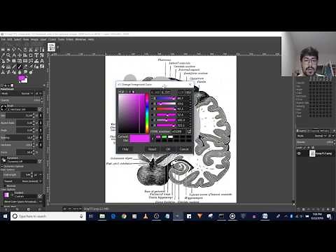 How to Fix Paint Brush Color Not Working in GIMP 2.10