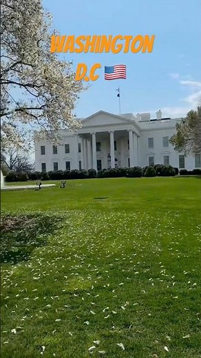 Washington, D.C. in Spring 🌸| From the White House to the Washington Monument 🇺🇸