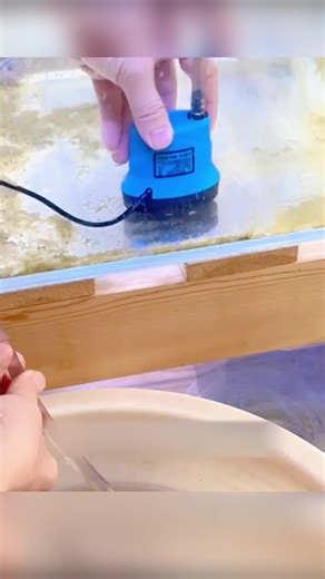 6K views · 18 reactions |  Mențineți rezervorul sau fântâna impecabilă cu circulație puternică a apei!  Funcționare silențioasă pentru un spațiu liniștit. ♻️ Design eficient energetic, auto-curățare și ecologic. Comandați acum | Vigoexpress | Facebook