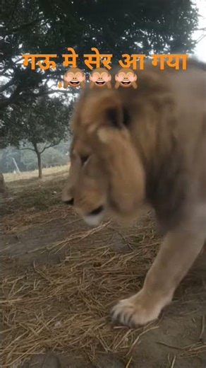 🙈🙈🎥 YouTube video ke liye📱 Reel / TikTok / Shorts ke liye📝 Post / story ke liye