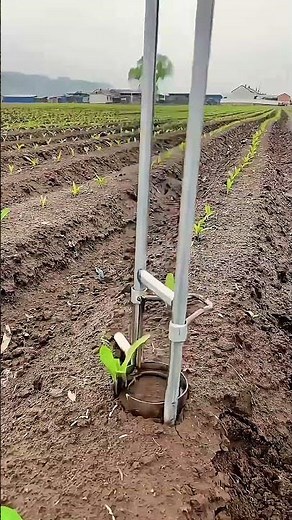 Manual Transplanter – Efficient Seedling Planting Tool #AgriculturalInnovation