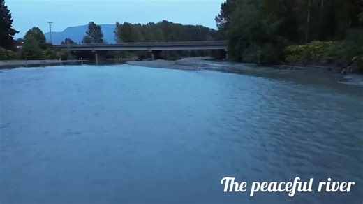 Drone footage of Everson and the Nooksack River flooding. This video was taken by a young man named Esteban Guzman and is absolutely well-done! #flood #flooding #wawx #pnw #Washington #whatcomcounty #nooksackriver | Whatcom County Weather