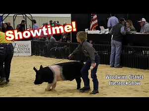 First Pig Show! (Woodward District Livestock Show)