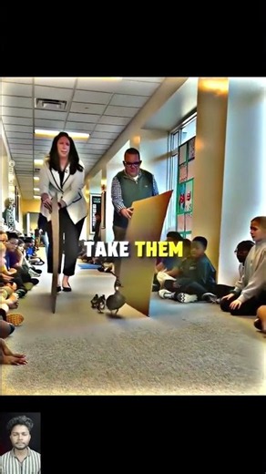 Teachers Stop the Entire School for a Family of Ducks 🥹🦆❤️ #duck #funny #cute #shorts #ytshorts