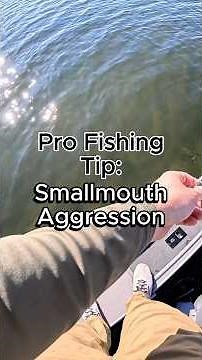 Smallmouth Bass Aggression and Feeding Habits #fishing