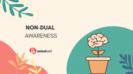 What Is Non-Dual Awareness? - MindOwl