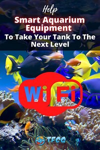 Smart Aquarium Equipment To Take Your Tank To The Next Level | TFCG