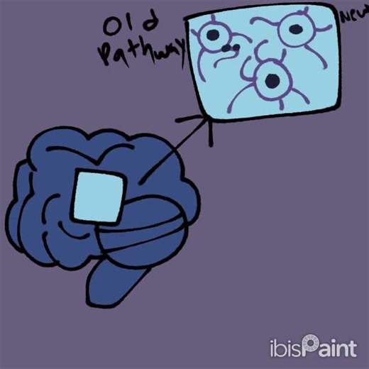Neuroplasticity Anatomy and Physiology Animated Gif for School Assignment