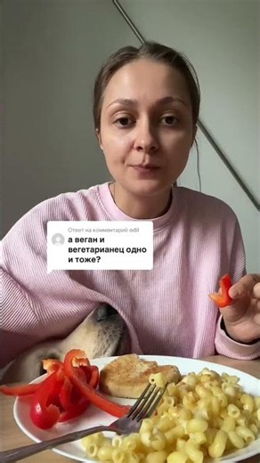 The difference between a vegan and a vegetarian