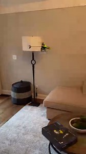 11K views · 180 reactions | The Fusion 180 Smart [BLH05850] is an excellent advanced 3D helicopter for the backyard!  #HorizonHobby #BladeRC #Fusion #Fusion180 #Smart #SpektrumRC #RC #Helicopter | Blade RC | Facebook