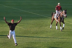 Zippy Chippy - Alchetron, The Free Social Encyclopedia