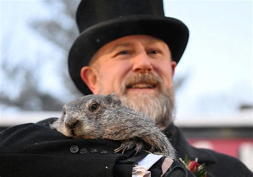 La marmota Phil vaticina el peor de sus pronósticos para este 2026 | Las Provincias