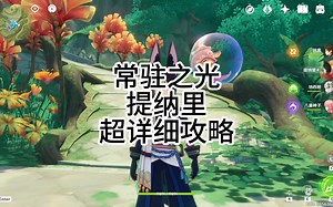 提纳里攻略。常驻之光照亮你的小保底