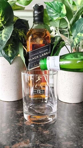 🔥 viral whiskey drink 😱 #drink #whiskey #shorts #cocktail #song #music