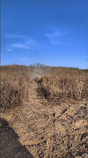 Ultimate Remote Control Track Slope Mower | Conquer Steep Hills with Ease #bestinmower