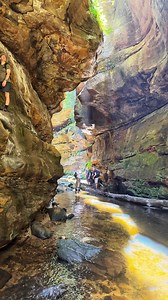 Ranked Australia’s most popular hike, the Grand Canyon Track in the Blue Mountains is pure magic — waterfalls, rainforest, and canyon views all in one loop. Join Beyond the Black Top Tours and see why it’s #1. 🌿 #BlueMountains #GrandCanyonTrack #grandcanyonbluemountains #BeyondTheBlackTop #BlueMountainsTour #HikingAustralia #AdventureNSW #visitbluemountains #visitnsw #destinationnsw #guidedtours | Beyond the Blacktop Adventure Tours