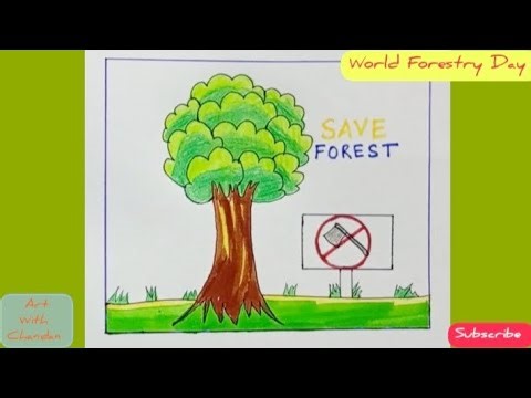 International Forestry Day Poster Drawing / Save Forest Awareness Drawing 2026