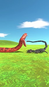 Anaconda vs Emperor Scorpion | The Burner Guy