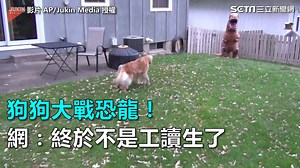 476K views · 4K reactions | 汪汪真的嚇到了啦...