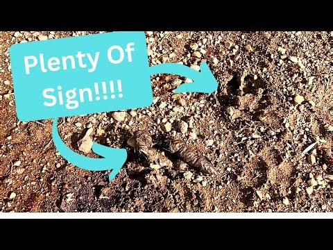 Out On The Line 2025 Ep. 1 - Set Day