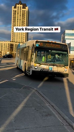 5.2K views · 84 reactions | York Region Transit  | GraZia Igorota | Facebook