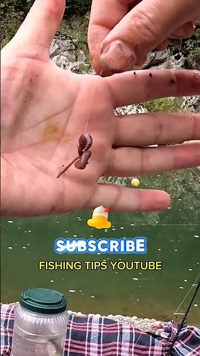 Fishing Tips: How To Hook A Worm To Catch Fish #fishing