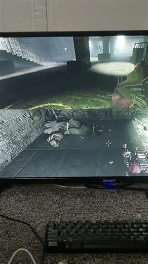 This Is Why You Still Hear Zombies Screaming! Meme