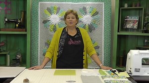 This week's Dresden Sunburst tutorial uses two of our favorite templates: the dresden plate 10" template and the small simple wedge charm template. http://land.missouriquiltco.com/dresden-sunburst/ You know what both of these templates remind me of? Pie! :) Did you know that today is the Pi Day of the Century?? Today's date, 3/14/15 makes up the first 5 digits of pi. So, enjoy this tutorial and maybe after, you can celebrate with some pie :) Click to see the video of Ezra, Jenny's grandson: http