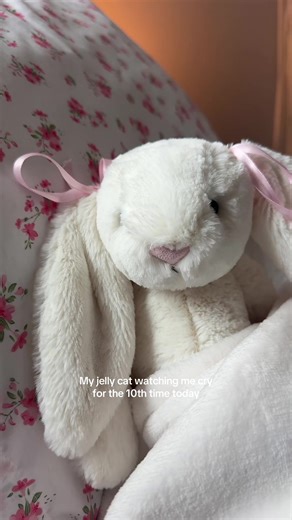 Emotional Support Jellycat: A Funny Companion