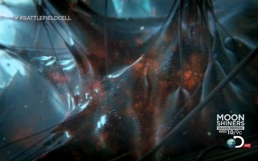 【纪录片】《绝对好奇：细胞战场》-双语字幕