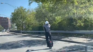 2.2M views · 3.1K reactions | Never know what you're going to see buzzing through Nashville traffic  https://bit.ly/3BdQEHa Video: Kim Fennell | WZTV FOX 17 News, Nashville | Facebook