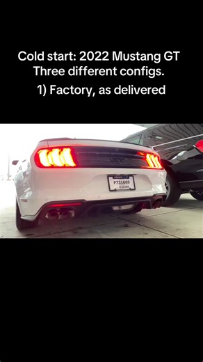 Natalie Michelle on Instagram: "You guys seem to love the #coldstart #exhaust videos. Let’s compare 3 different sounds: 2022 #mustang, factory exhaust vs Borla S Type vs Borla S Type with Steeda resonator delete. #coyote #cartok #fyp #mustanggt #coyote #reelsfb"