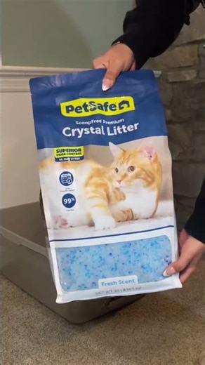 PetSafe 10lb Crystal Cat Litter Review | Walmart Find