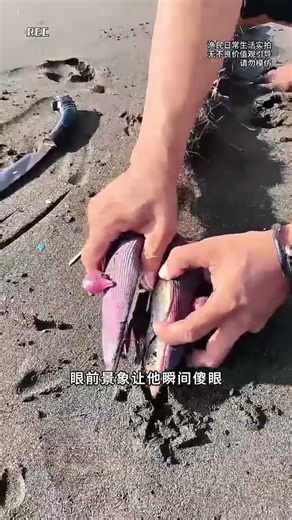 A purple banana flower washes up in the surf, but when sliced open, it hides a mysterious ancient...