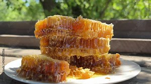 Honey dripping from honey comb on plate in nature. Thick honey dripping from honeycomb. Stream of golden thick honey flowing down on the honeycombs. Natural organic, honeycombs close up. Beekeeping