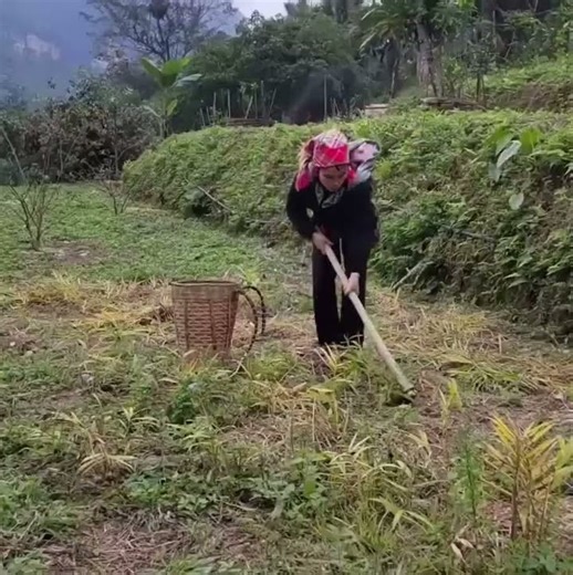 Daily Life in a Vietnamese Village | Cooking and Household Work