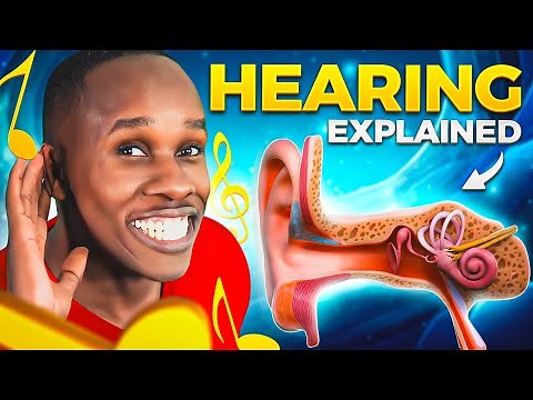 The Hearing Song | How Hearing Works - it’s CRAZY!