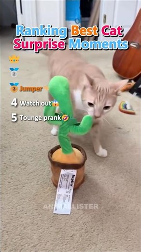 Ranking Best Cat Surprise Moments 🤣 #catmemes #hilariousfails #shorts