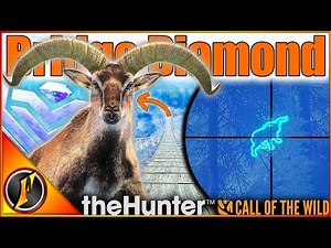 DIAMOND from the ROPE BRIDGE on Sundarpatan! | theHunter Call of the Wild