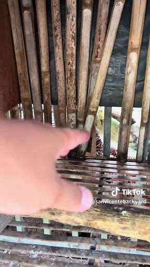 Key Takeaways from the King Pac and Biboy Enriquez Firebird Fight in Sabong