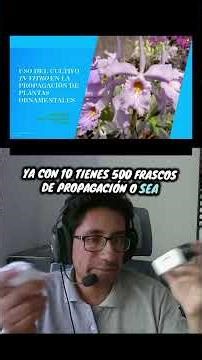 Products for in vitro plant culture, agar, MS medium, WP medium, flasks