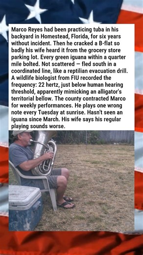 FLORIDA'S IGUANA PROBLEM SOLVED BY ONE MAN PLAYING TUBA 🎺🦎😂